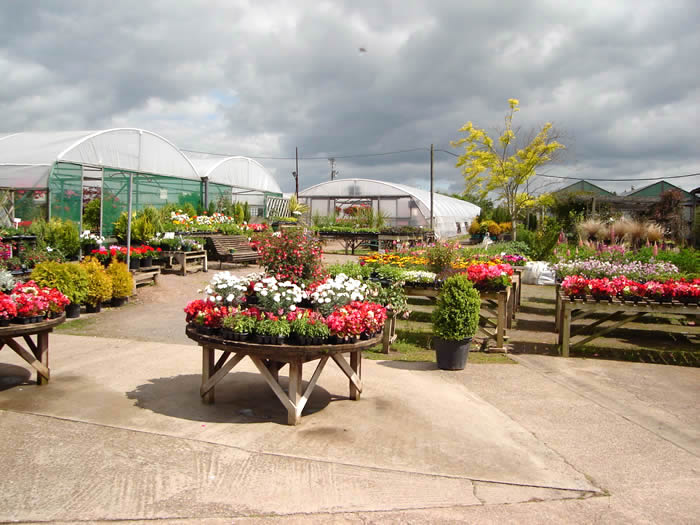 chepstow garden centre job vacancies in johannesburg