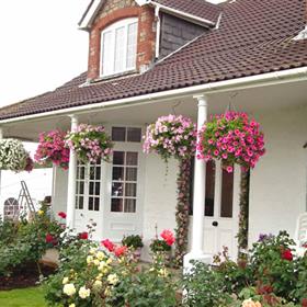 fwthumbhanging-baskets-and-garland-256.jpg