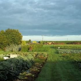 fwthumbour-veg-garden1.jpg